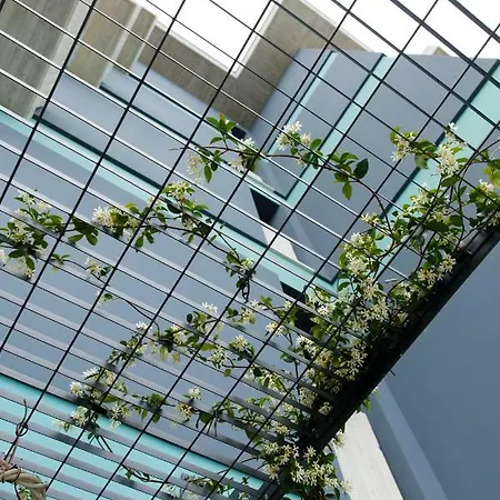 Szálloda Buze Boutique Saranda